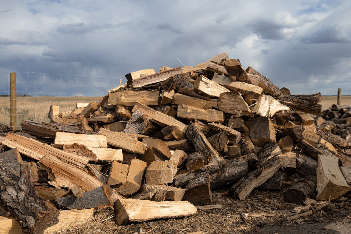 Dry Firewood (1 bag)